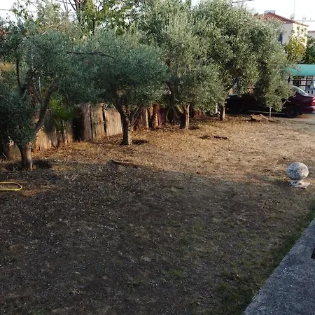 The Island * Karianí